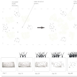 Phasing diagram