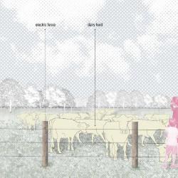 Sketch of Herd in Pasture (colored)