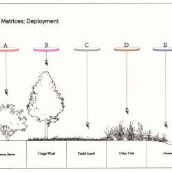 Section drawing