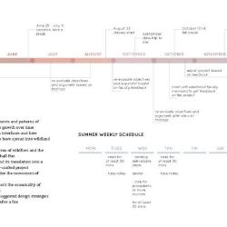 Project timeline