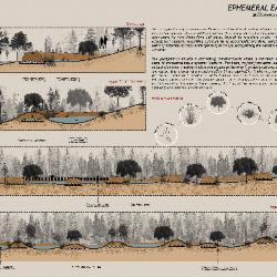 Section drawings