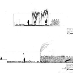 Section and Elevation