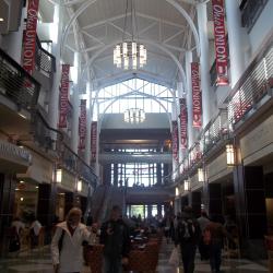 View of Interior - Atrium