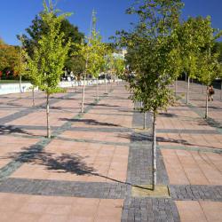 View of Exterior - Plaza with Trees