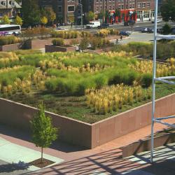 View of Exterior - Landscaping